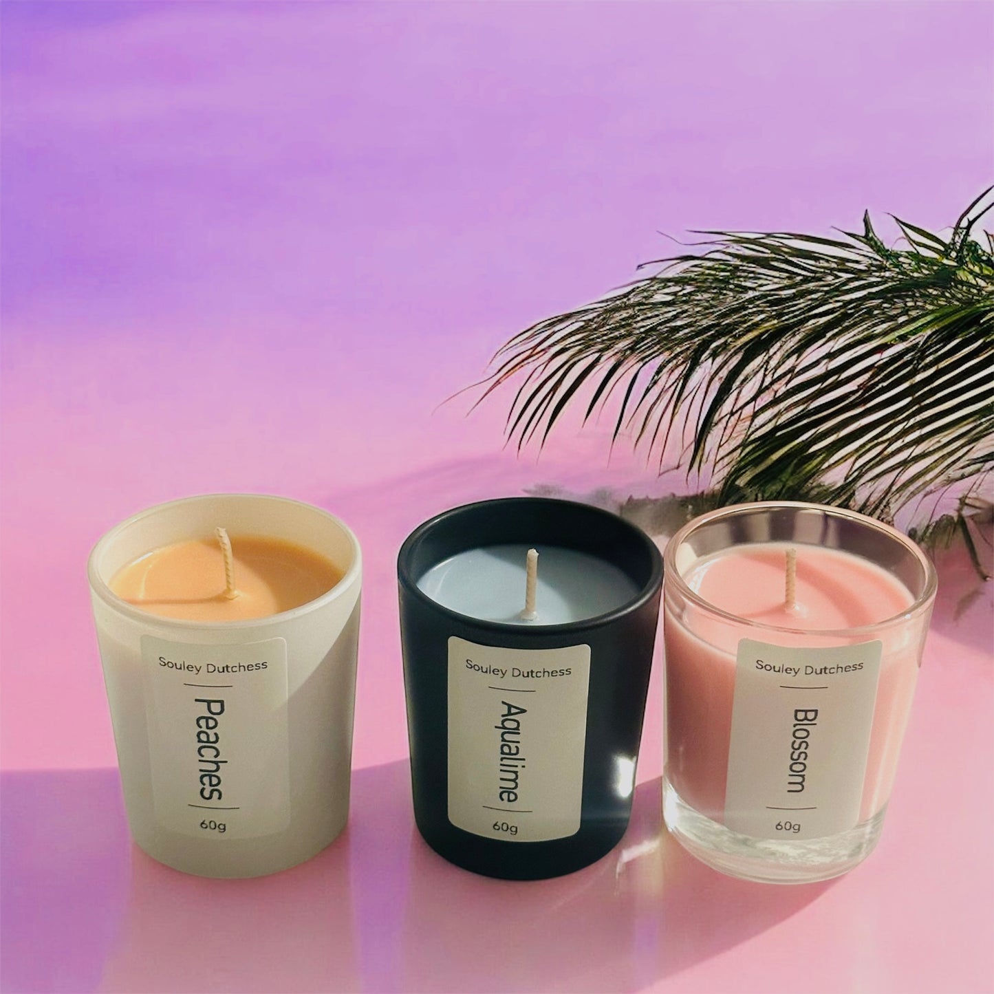 Summer Escape Box 3