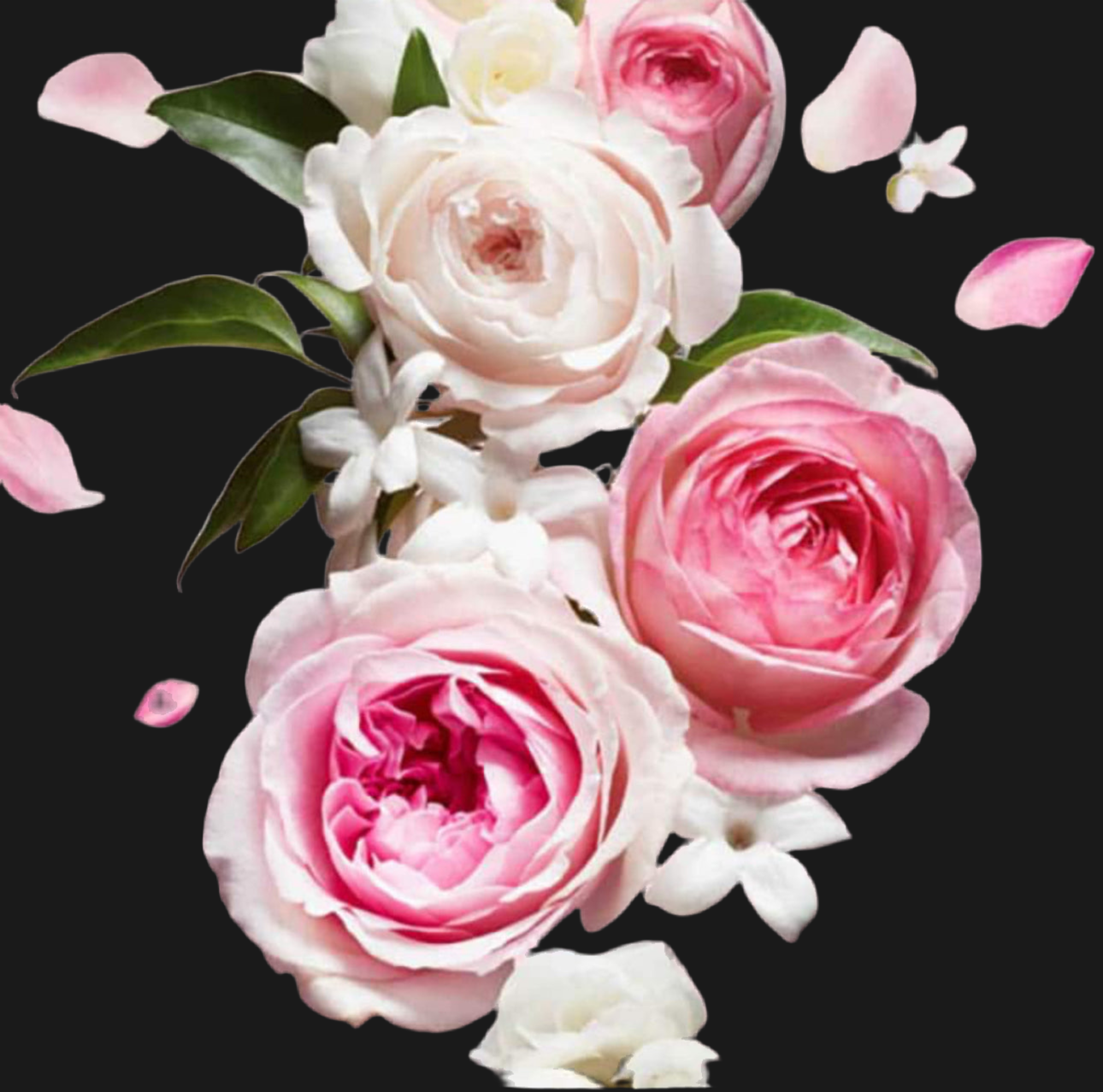 Pleasure - Reed Diffusers