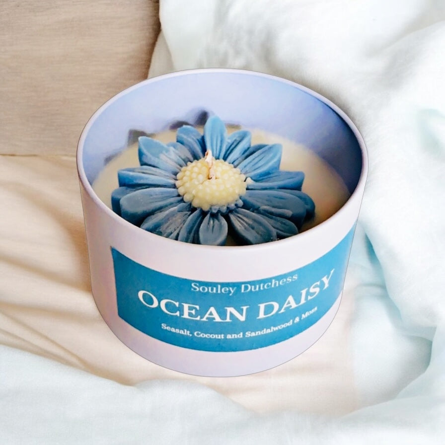 Ocean Daisy