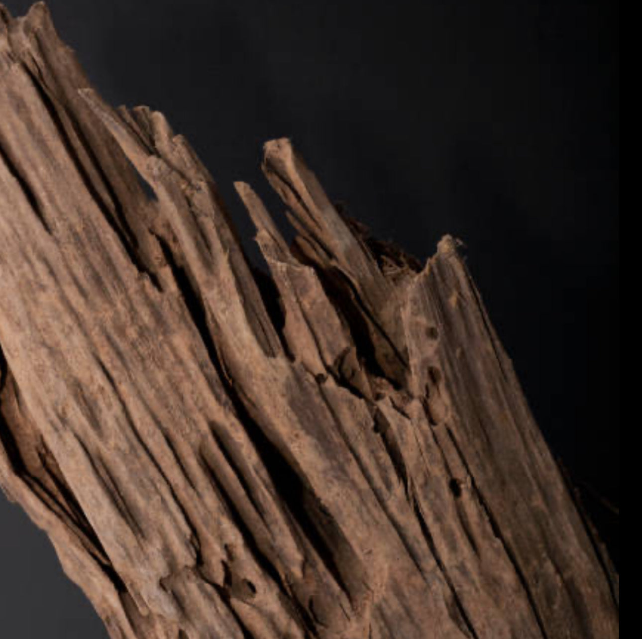 Oudh Wood - Reed Diffusers