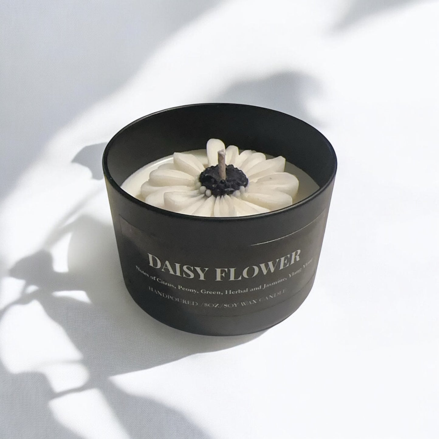Daisy Flower